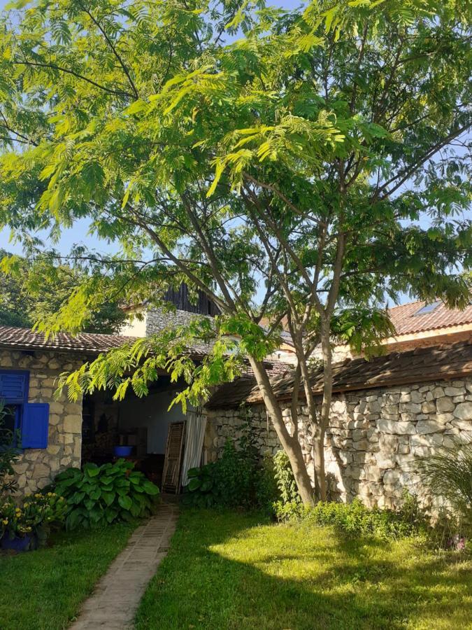 Casa Anca Cheile Nerei Villa Szakalár Kültér fotó