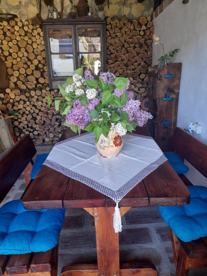 Casa Anca Cheile Nerei Villa Szakalár Kültér fotó