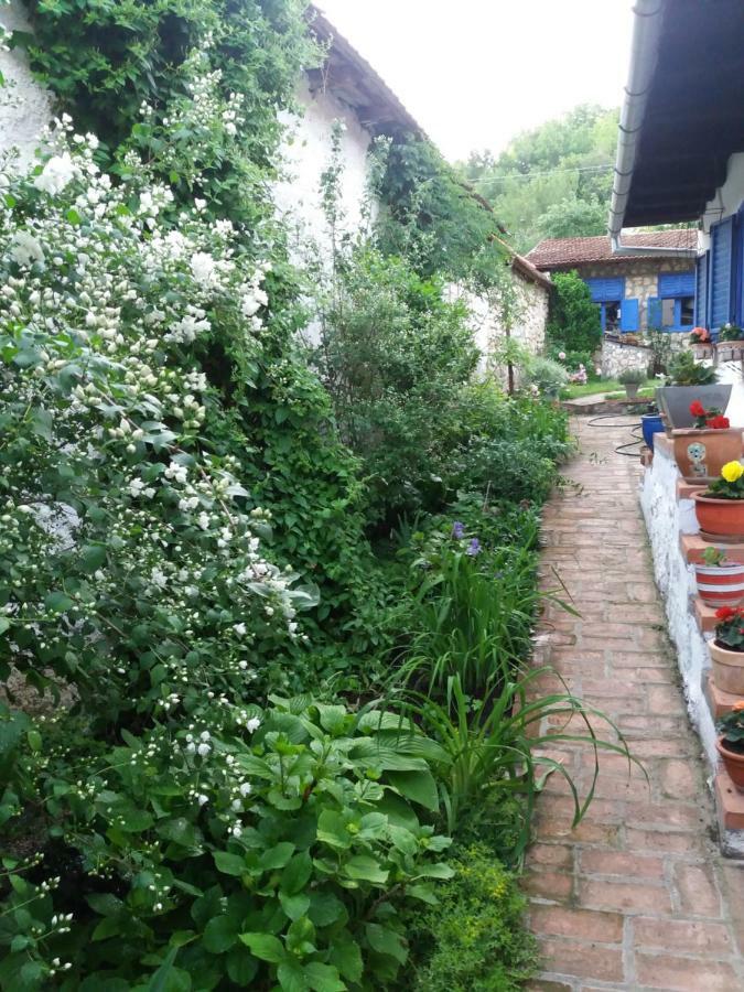 Casa Anca Cheile Nerei Villa Szakalár Kültér fotó