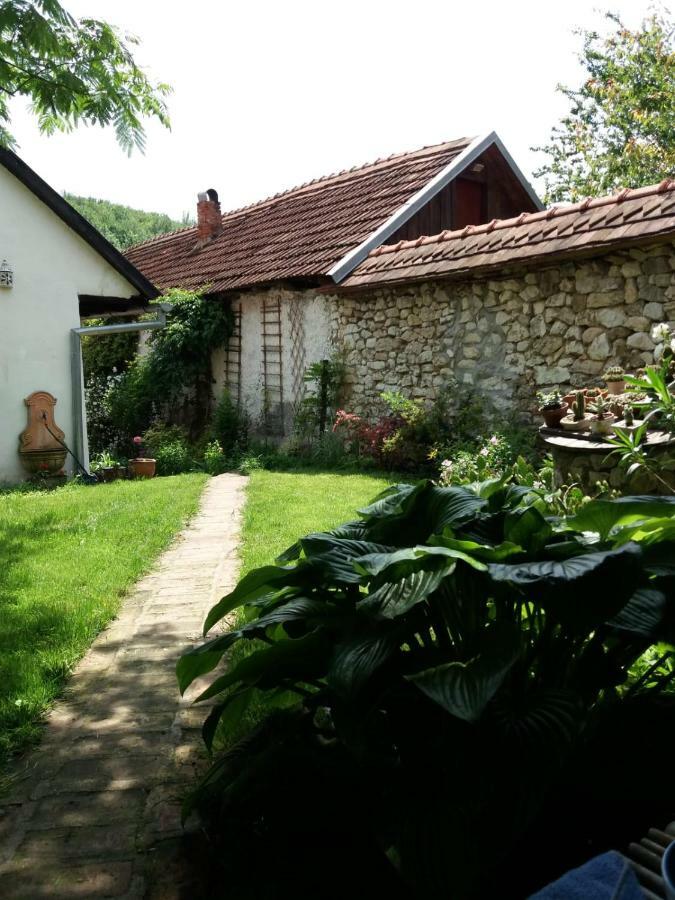 Casa Anca Cheile Nerei Villa Szakalár Kültér fotó