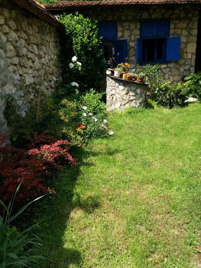 Casa Anca Cheile Nerei Villa Szakalár Kültér fotó