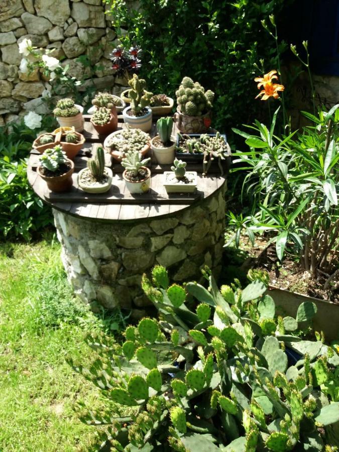 Casa Anca Cheile Nerei Villa Szakalár Kültér fotó