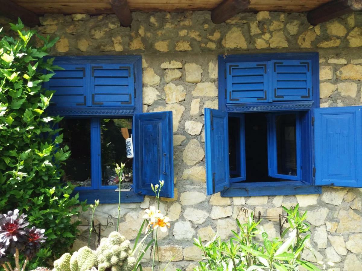 Casa Anca Cheile Nerei Villa Szakalár Kültér fotó