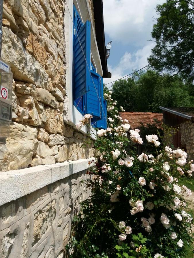Casa Anca Cheile Nerei Villa Szakalár Kültér fotó